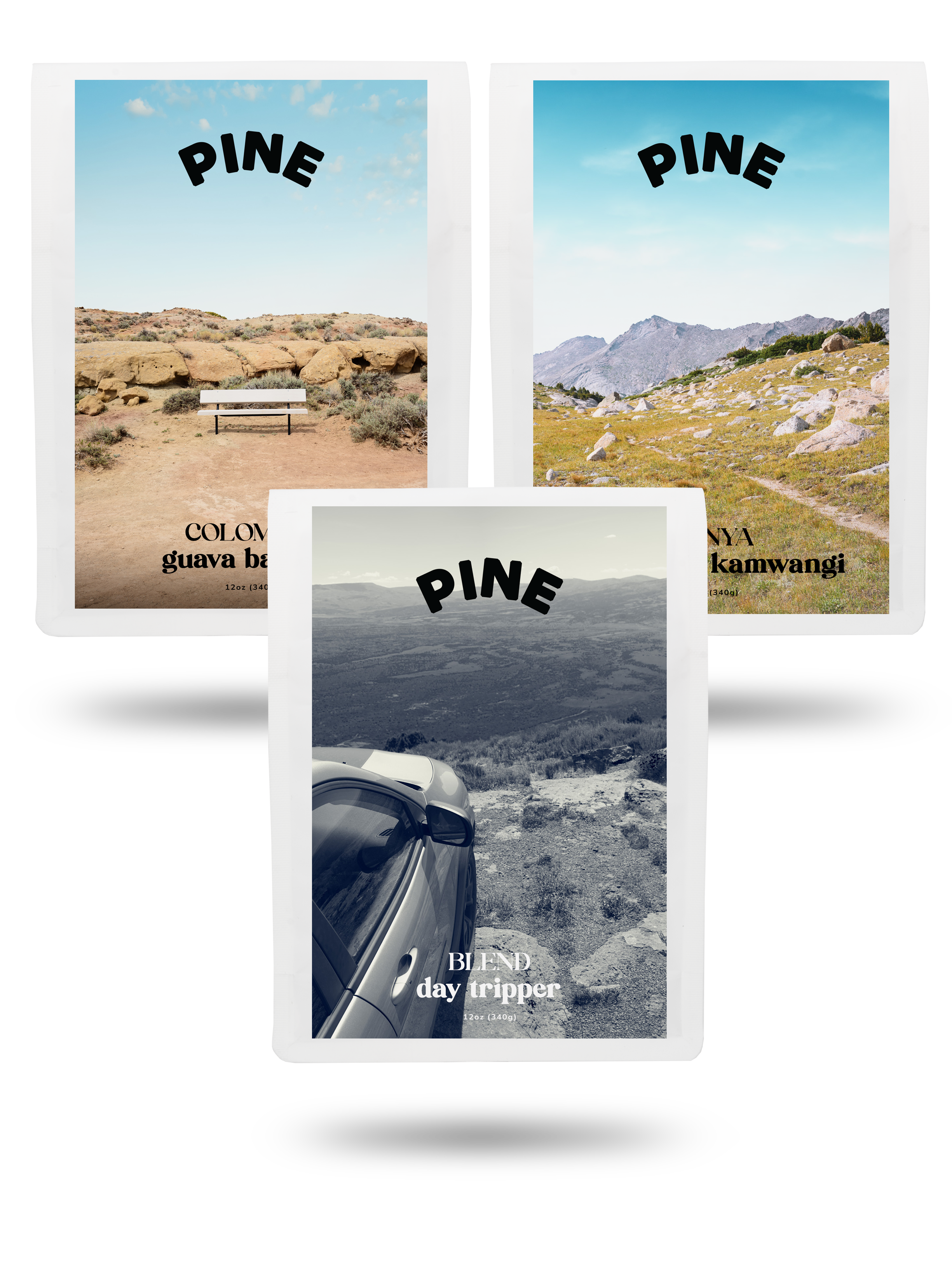 Pine Coffee Club