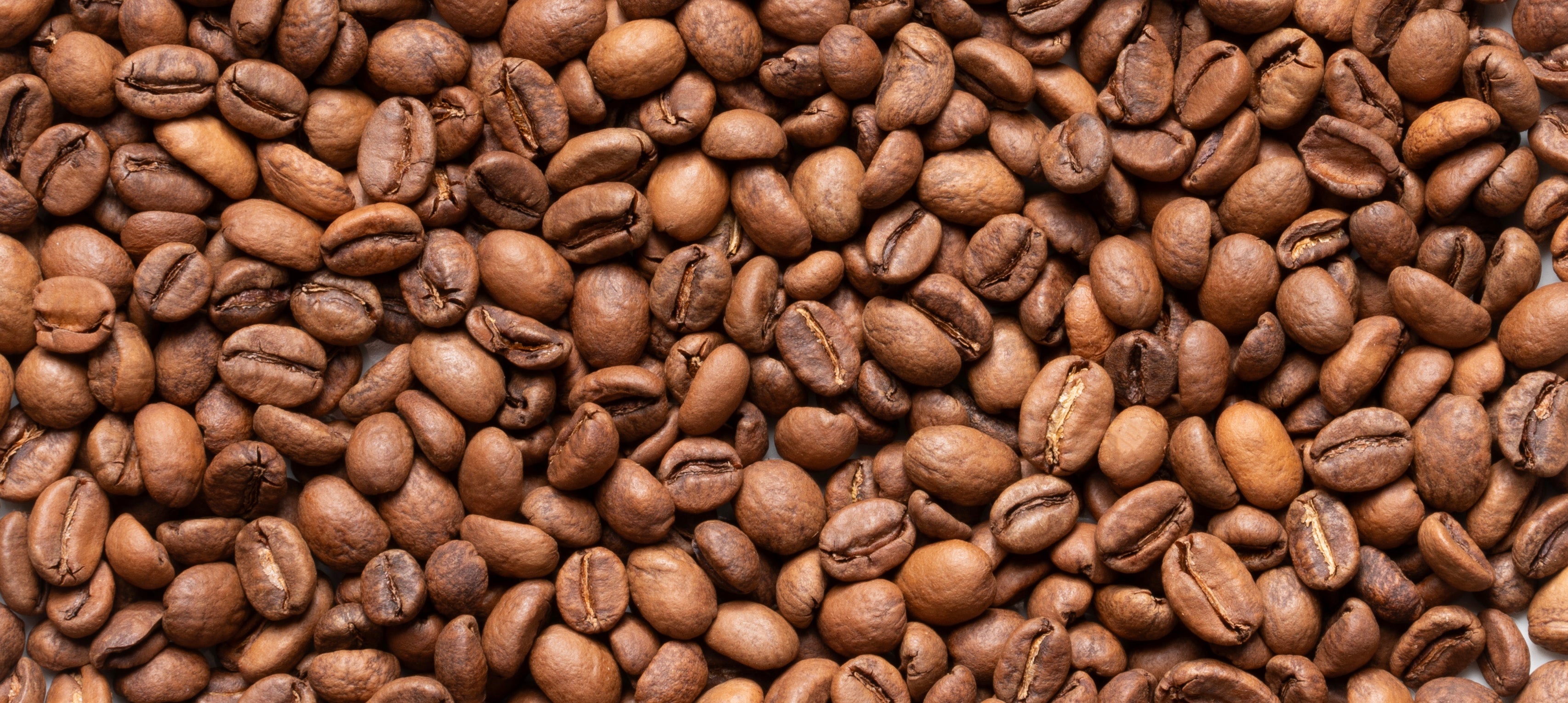 Pine Coffee Club