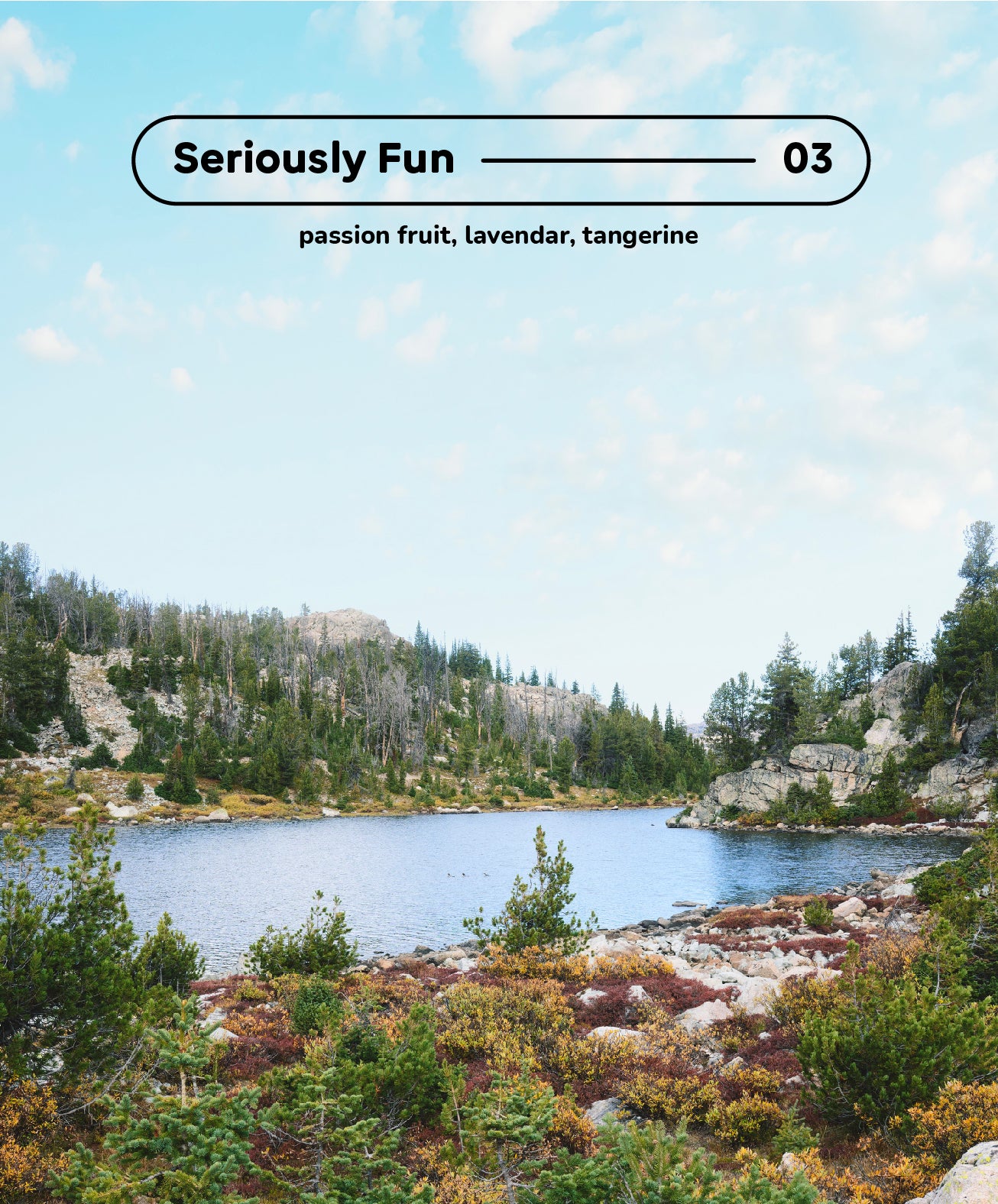 Seriously Fun — 03