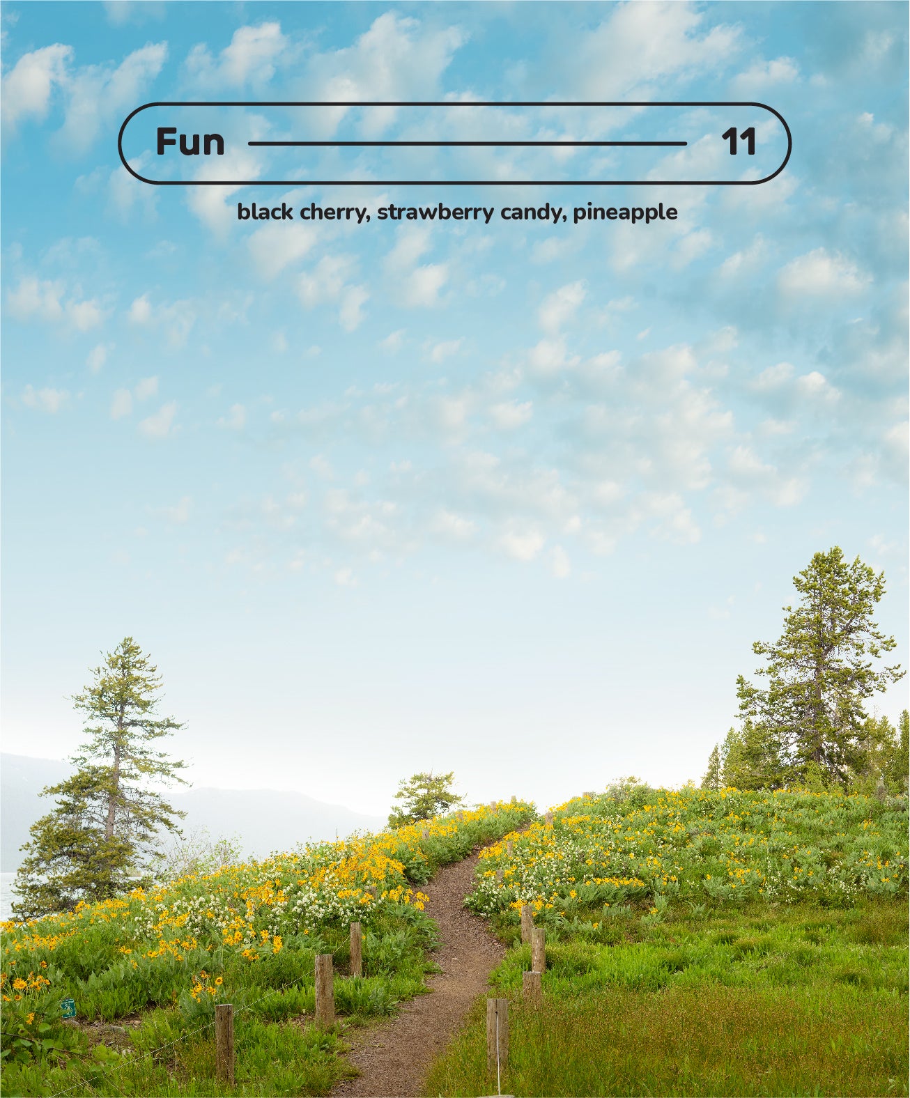 Fun — 11