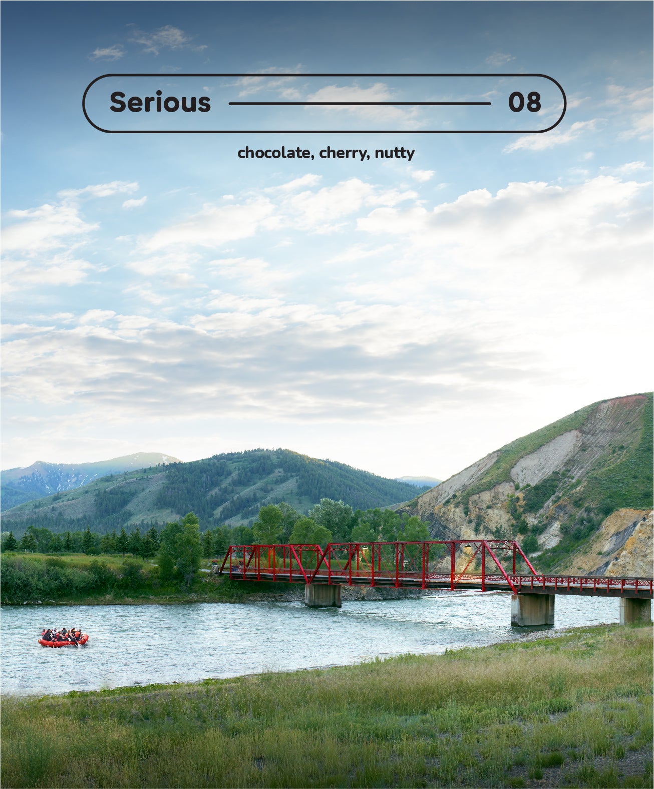 Serious - 08